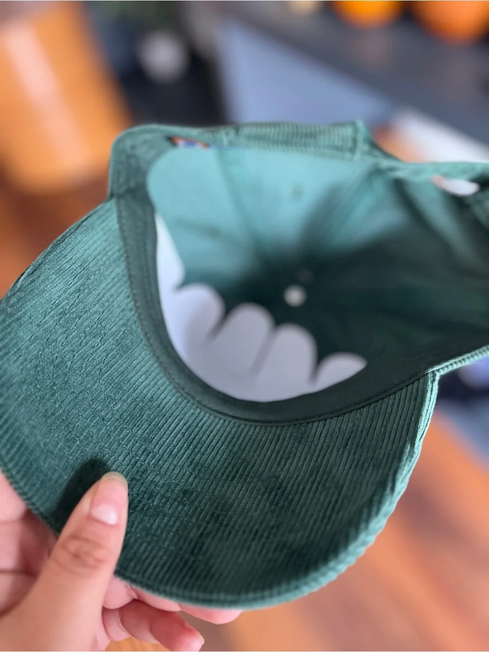 Green Corduroy Duck Embroidered Pet Bird Cap